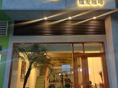 -猫友咖啡店(玉林西路店)