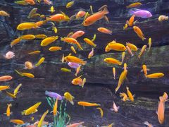 -多彩贵州城极地海洋世界