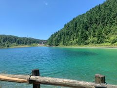 -武陵山森林公园