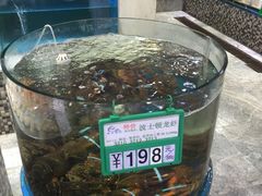 -海岛渔村大酒店(云霄路店)