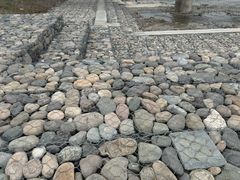 -绿堤公园