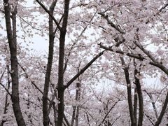 -龙美术馆(西岸馆)