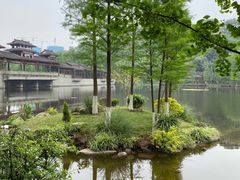 -重庆彩云湖湿地公园