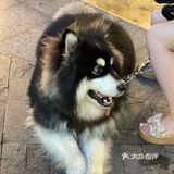 虹泉路首尔夜市边，性价比很高的一家咖啡店！