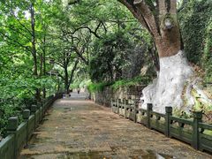 -吴山景区