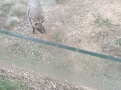 -南昌动物园