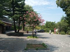 -蓬莱阁景区