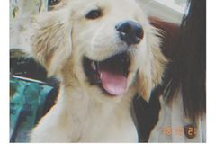 -沐沐家宠物(成寿寺店)