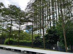 -达士岭