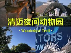 -清迈夜间动物园