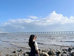 -宝安西湾红树林湿地公园