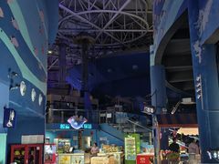 -烟台海昌鲸鲨海洋公园