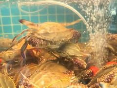 -蓝珊甄选海鲜自助·火锅大排档(近阿那亚店)