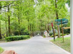 -东平国家森林公园