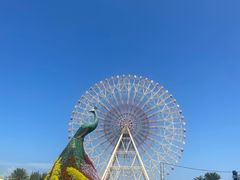 -七彩云南欢乐世界