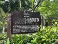-南山植物园