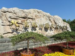 -北京西山国家森林公园