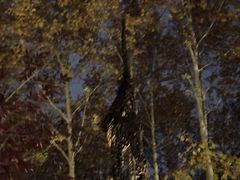 -徐家汇源景区-衡山公园