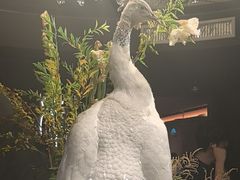 -滇野云南野生菌餐厅(陕西南路店)