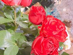 -花匠花艺鲜花店(尹山湖店)