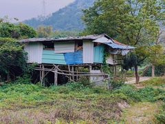 -黄埔油麻山森林公园