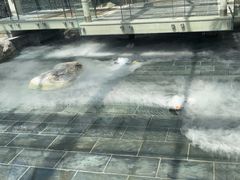 -和园景逸大酒店朗月汤泉