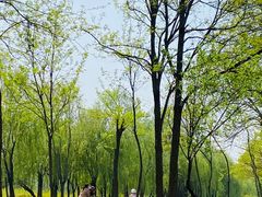 -东坝千亩湖公园
