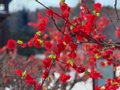 -威海华夏城景区