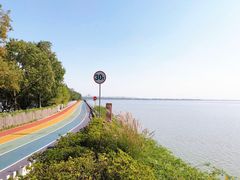 -贡湖湾湿地公园