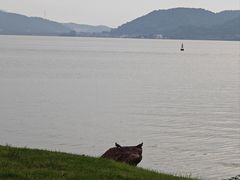 -东钱湖旅游度假区