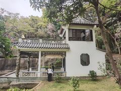 -深圳国际园林花卉博览园