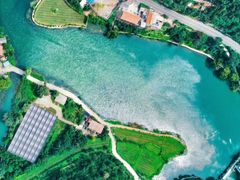 -杏花樓(大世界店)