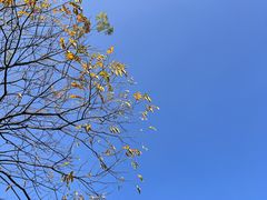 -杭州城北体育公园