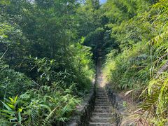-天鹿湖森林公园