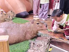 -正佳雨林生态植物园