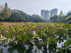 -西南交通大学(九里校区)