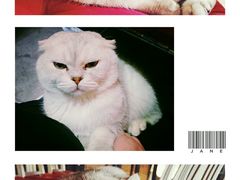 -MIKAKU(万达广场上海宝山店)