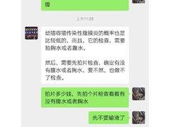 -千城康桥宠物医院·猫科·骨科·心脏