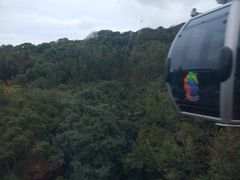 -普陀山慧济禅寺