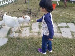 -上海滴水湖皇冠假日酒店