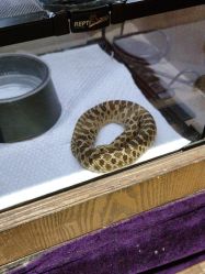 -Zoolung Zoolung动物主题公园(海信广场店)