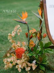 -琥珀婚礼策划AMBER WEDDING