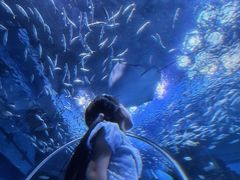 -海合安成都极地海洋公园