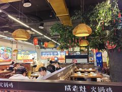 -成老灶火锅鸡(平山店)
