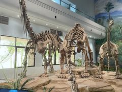 -自贡恐龙博物馆