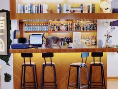 -喵园·猫主题咖啡厅·撸猫·猫咖(国贸店)