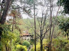 -梦姑塘文化公园