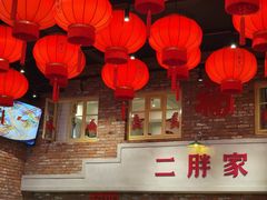 -二胖家铁锅炖大鹅(双井店)