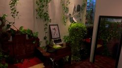 -新龙门刺青·纹身