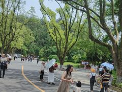 -韶山毛泽东同志故居
